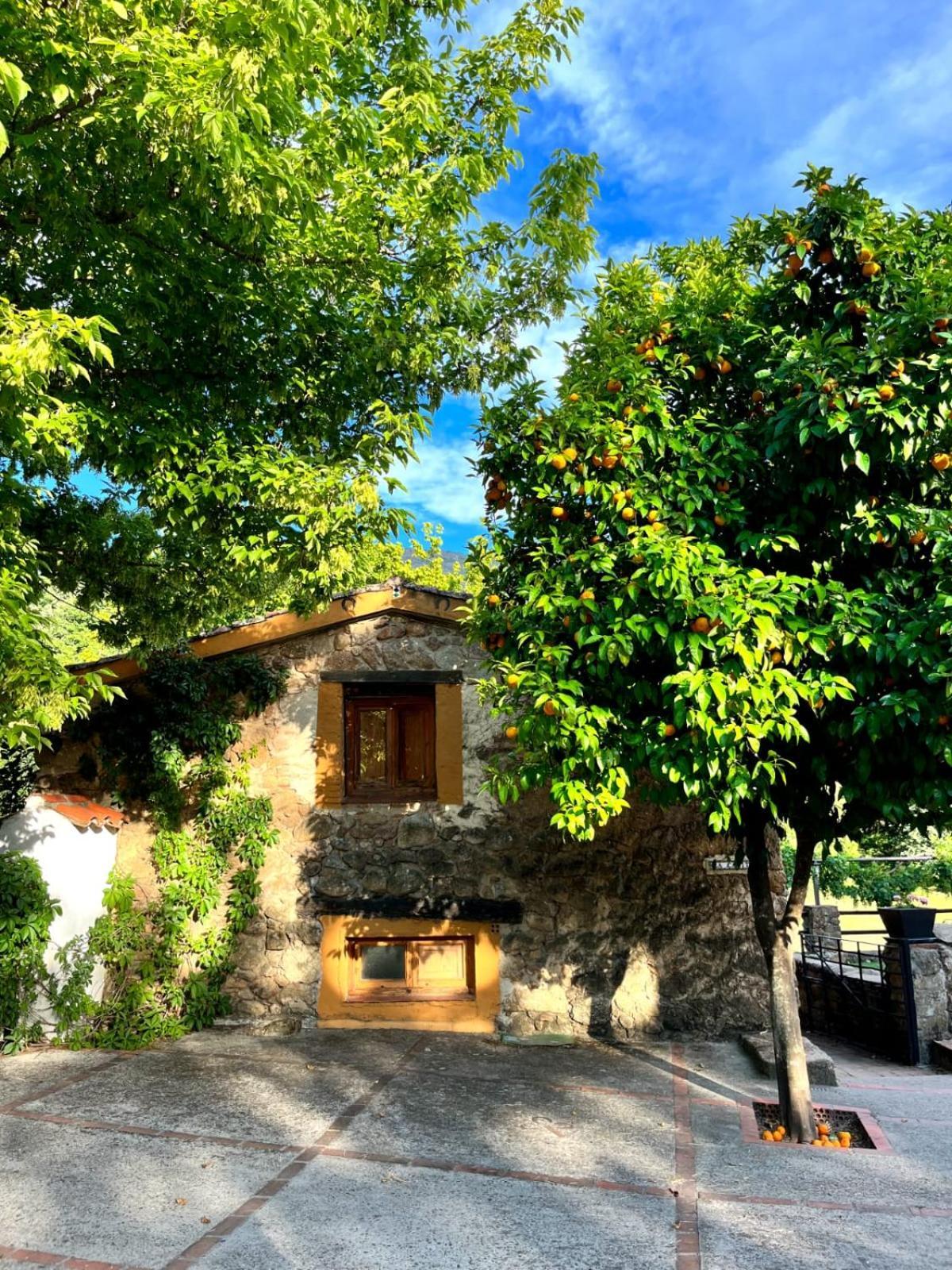 La Caseria Navaconcejo Kültér fotó
